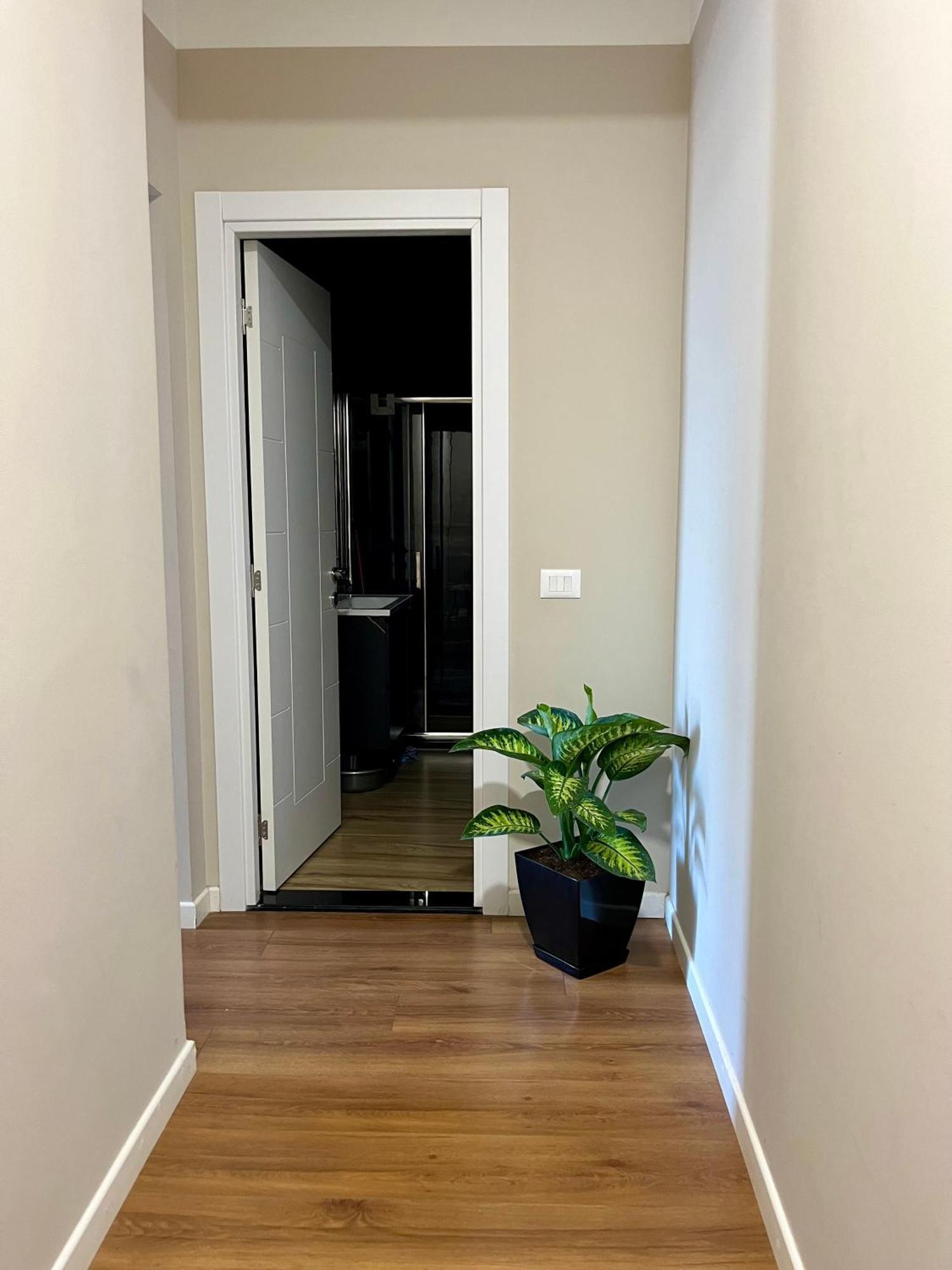 Center Cozy